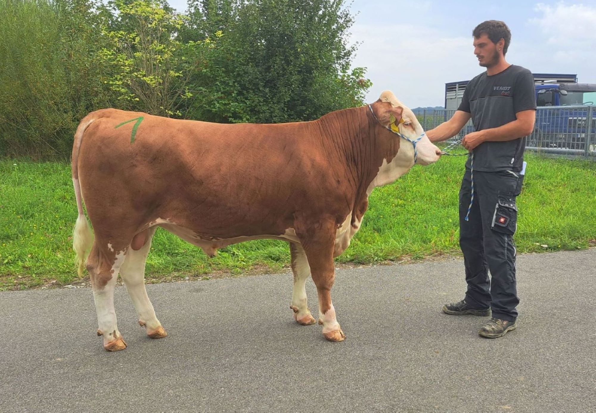 Großviehmarkt am 13.09.2023