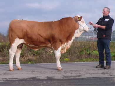 marktbericht 2016 11 09 2