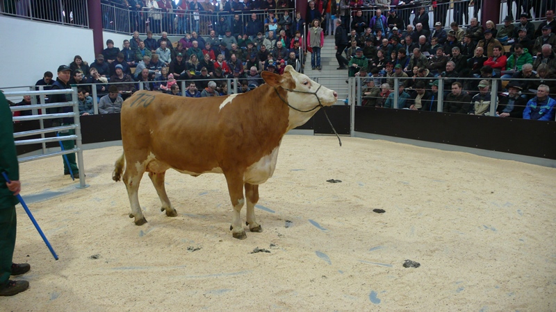 marktbericht 2017 03 22 2